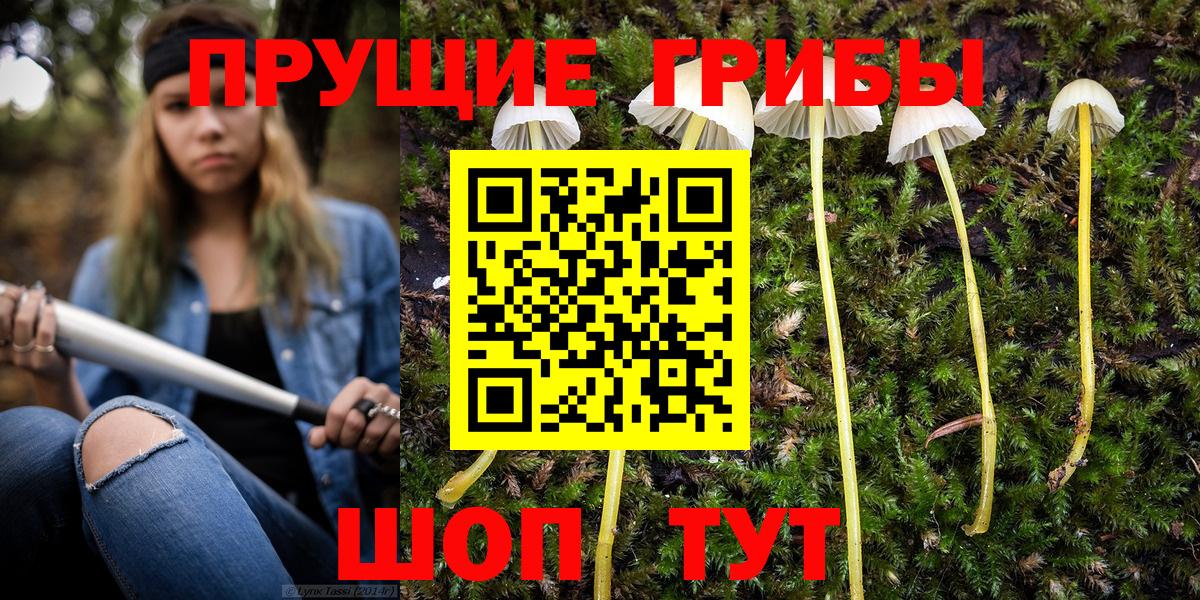 где купить наркоту  Галлюциногенные грибы MAGIC MUSHROOMS  Вход с VPN  Людиново 