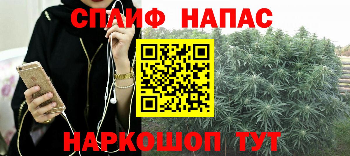 Бошки Шишки семена Людиново